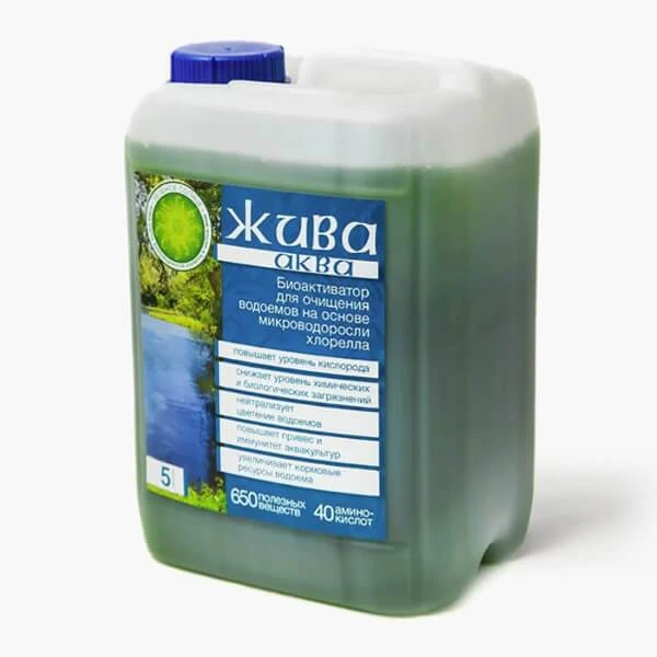 Живая культура Хлорелла для пруда